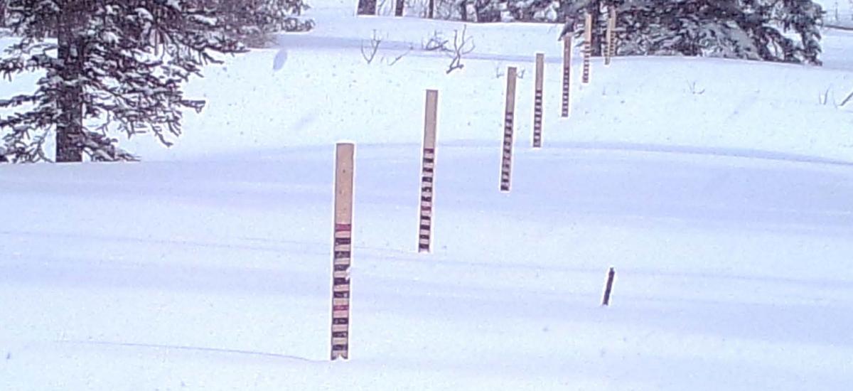 Handbook cover segment showing snowtography transect in the snow