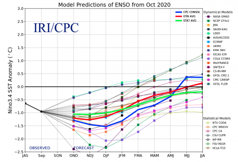 ENSO Predictions October 2020