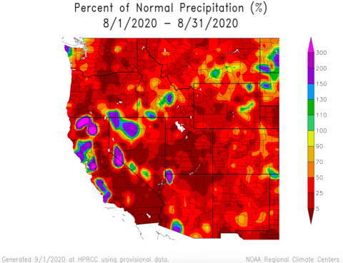 Percent of Normal Precipitation August 2020