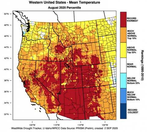 West Mean Temperature August 2020 Percentile