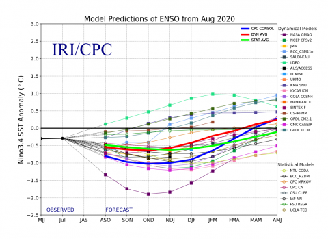 ENSO Predictions August 2020