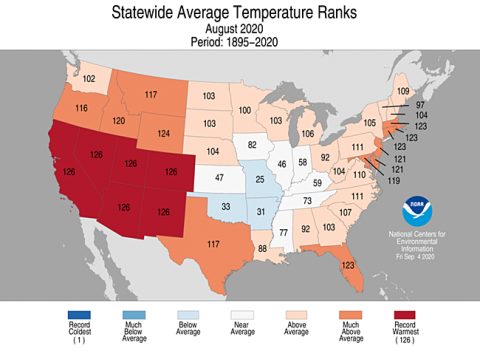 Statewide Average Temperature Ranks August 2020