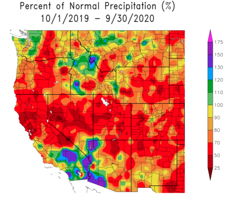 Percent of Normal Precipitation 2019-2020