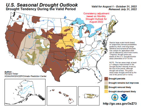Drought forecast, 7/31/22