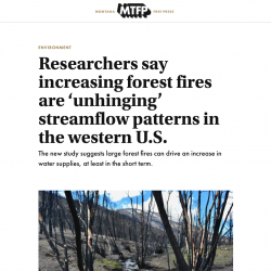 Researchers say increasing forest fires are ‘unhinging’ streamflow patterns in the western U.S. thumb