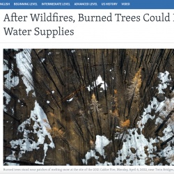 After Wildfires Burned Trees Could Hurt Water Supplies thumb