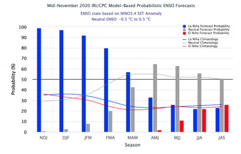 ENSO Forecasts November 2020