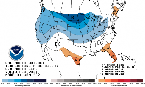 Temperature Probability January 2021 0 month lead