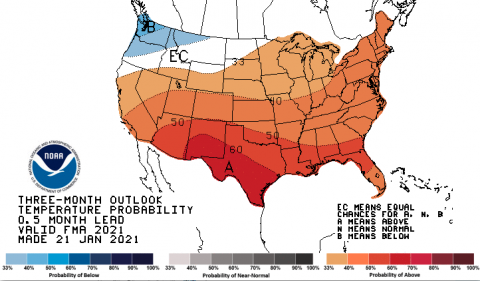 Temperature Probability January 2021 0.5 month lead