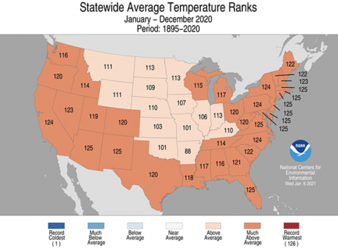 Statewide Temperature Ranks 2020