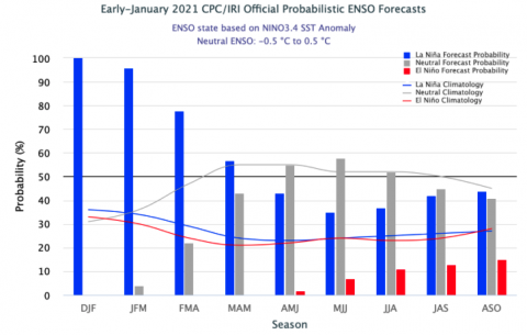 ENSO Forecasts January 2021