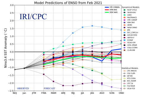 Model Predictions of ENSO February 2021