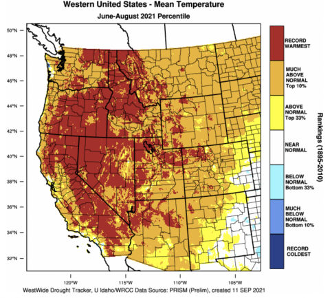 Western U.S. Mean Temperature June-August 2021 Percentile