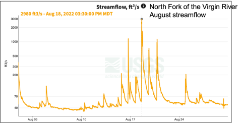 North Fork of the Virgin River August streamflow