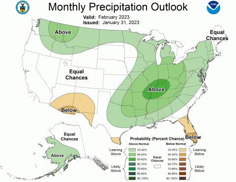 NOAA February Precipitation Outlook