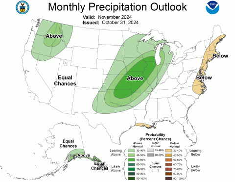 Precip_Outlook_Monthly_10.31.24