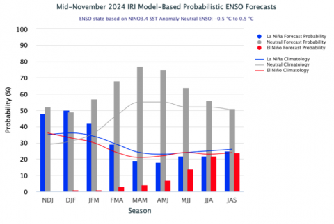 ENSO_ProbForecast_midNov2024