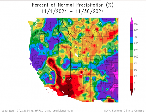 Precip_Nov2024