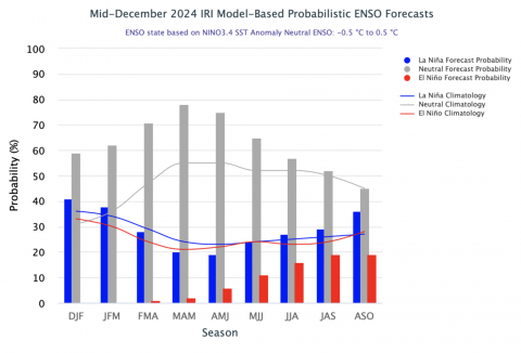 ENSOProbabilityForecast_midDec2024