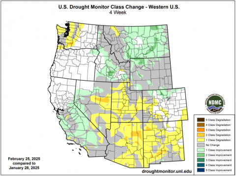 USDM_1MonthChange_022525