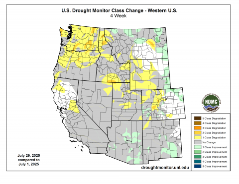 Drought_Change_7.29.2025