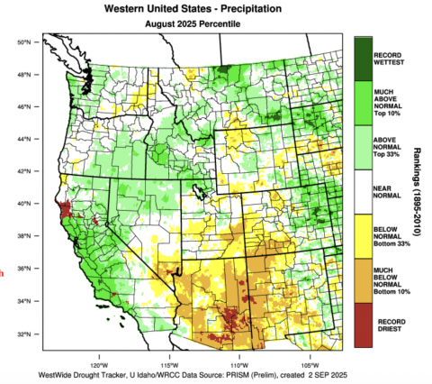 PrecipPercentile_August2025