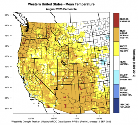 TempPercentile_August2025