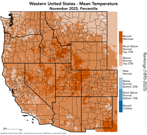 TempPercentile_Nov2025