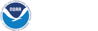 RISA Logo