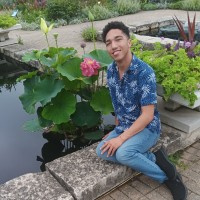 Person in blue shirt sitting by a pond