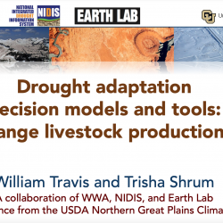 WWA/NIDIS Webinar: Decision Making in the Face of Drought by Western Range Livestock Producers thumbnail