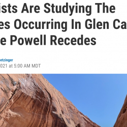 Scientists Are Studying The Changes Occurring In Glen Canyon As Lake Powell Recedes thumbnail