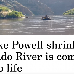 As Lake Powell shrinks, the Colorado River is coming back to life thumb