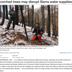 Scorched trees may disrupt Sierra water supplies thumb