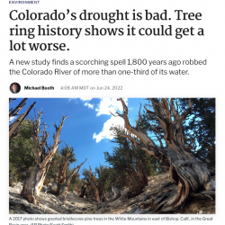 Colorado’s drought is bad. Tree ring history shows it could get a lot worse. thumb