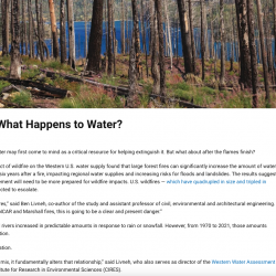 After a Wildfire, What Happens to Water? thumb