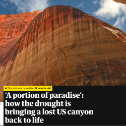 ‘A portion of paradise’ how the drought is bringing a lost US canyon back to life thumb