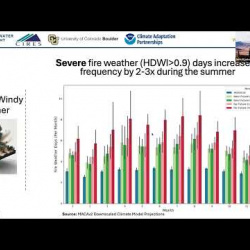 thumbnail of {{label.0}} video